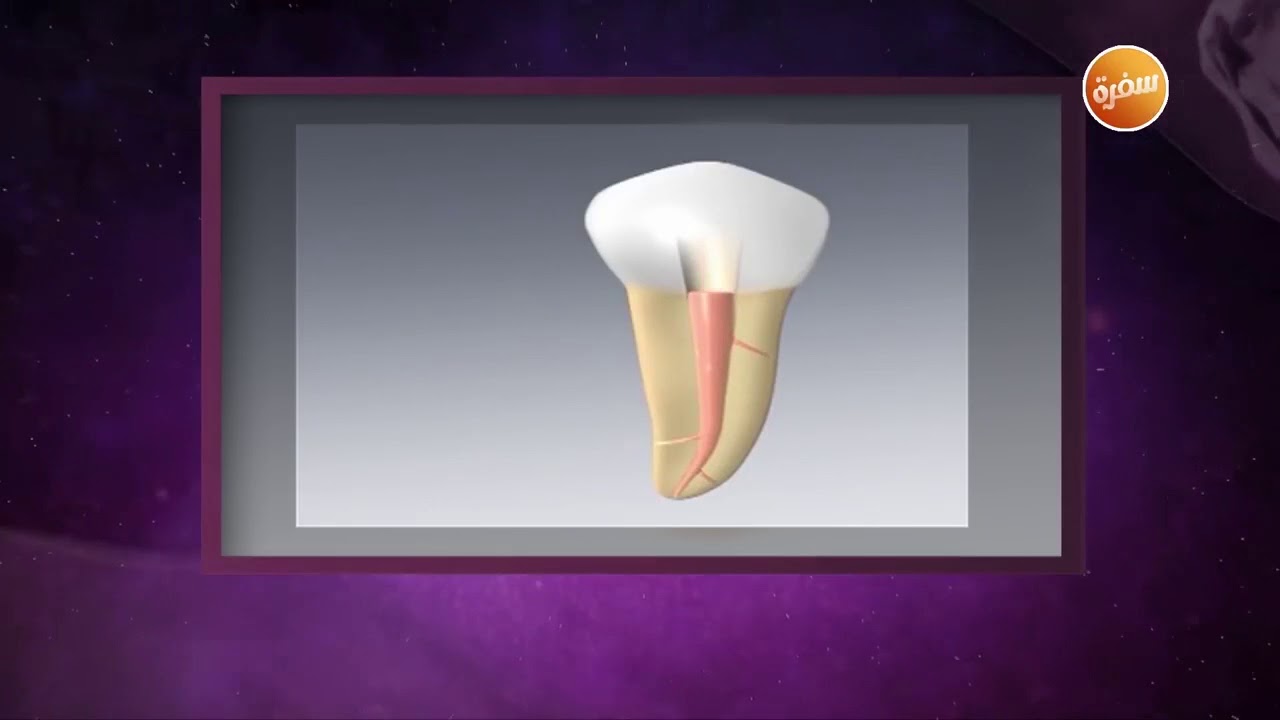شاهد أحدث ماتوصل اليه طب الأسنان في علاج العصب في لقاء د. نور مع رضوى الشربيني