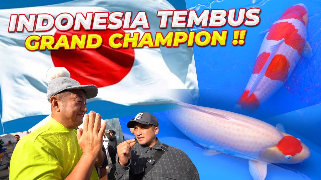 #2 JEPANG | INDONESIA TEMBUS GRAND CHAMPION..!! KOI SIAPA JUARANYA ??