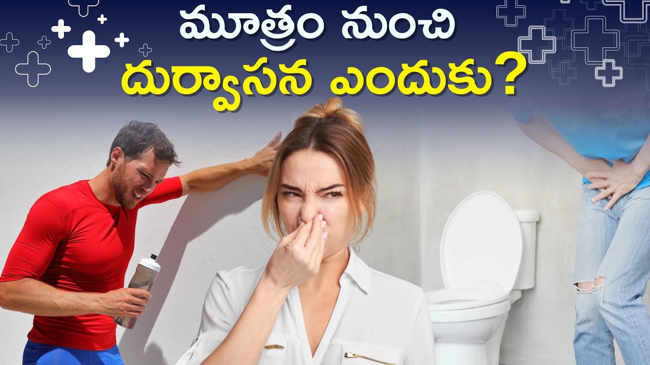 Why Does My Urine Smell? From Dehydration To Diabetes | When To Consult Doctor?