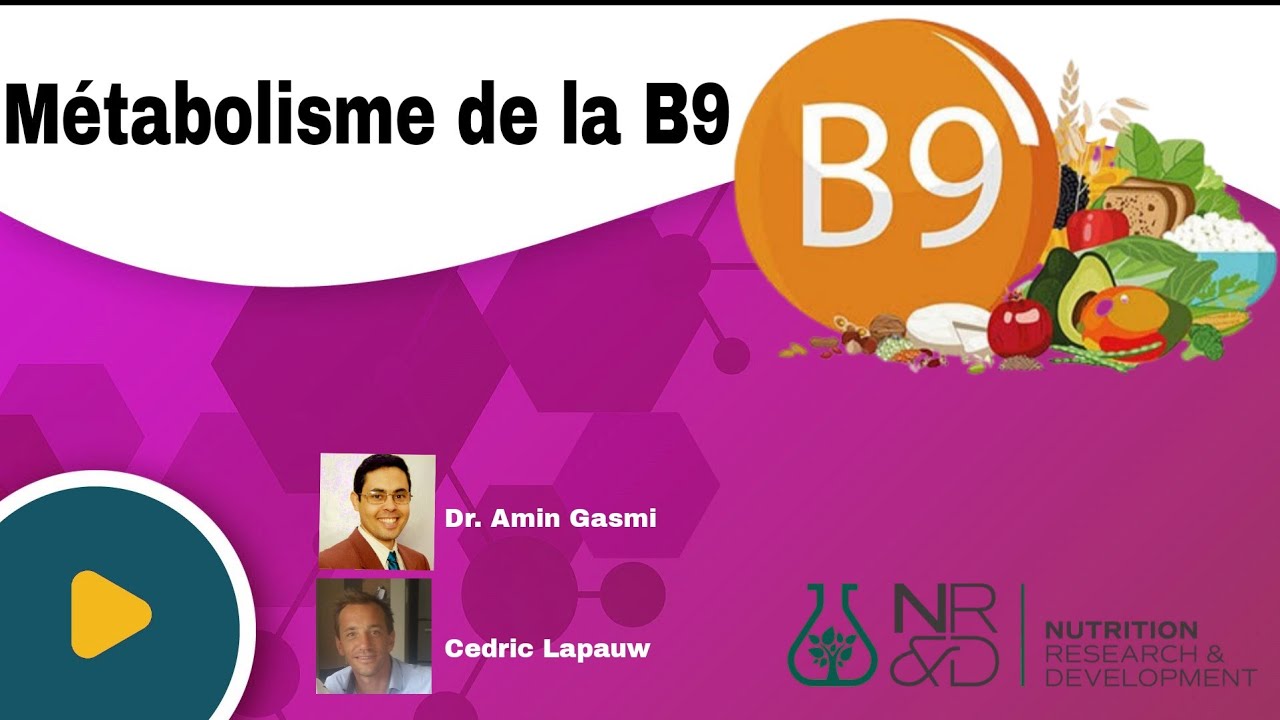 Quelles sont les fonctions métaboliques de la vitamine B9?