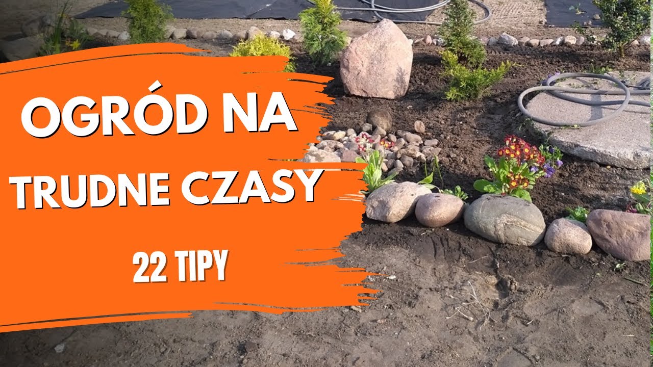 22 sposoby na tani ogr&oacute;d &ndash; pomysły. Jak oszczędzać pieniądze w ogrodzie? Porady ogrodnicze