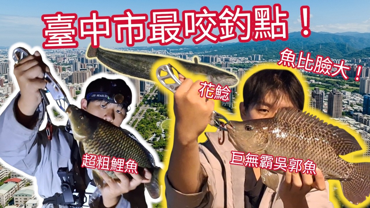 台中市最咬釣點!巨物橫行的台中市!花鯰\鯉魚\吳郭#台中#筏子溪#康橋#旱溪【擾民不擾民】