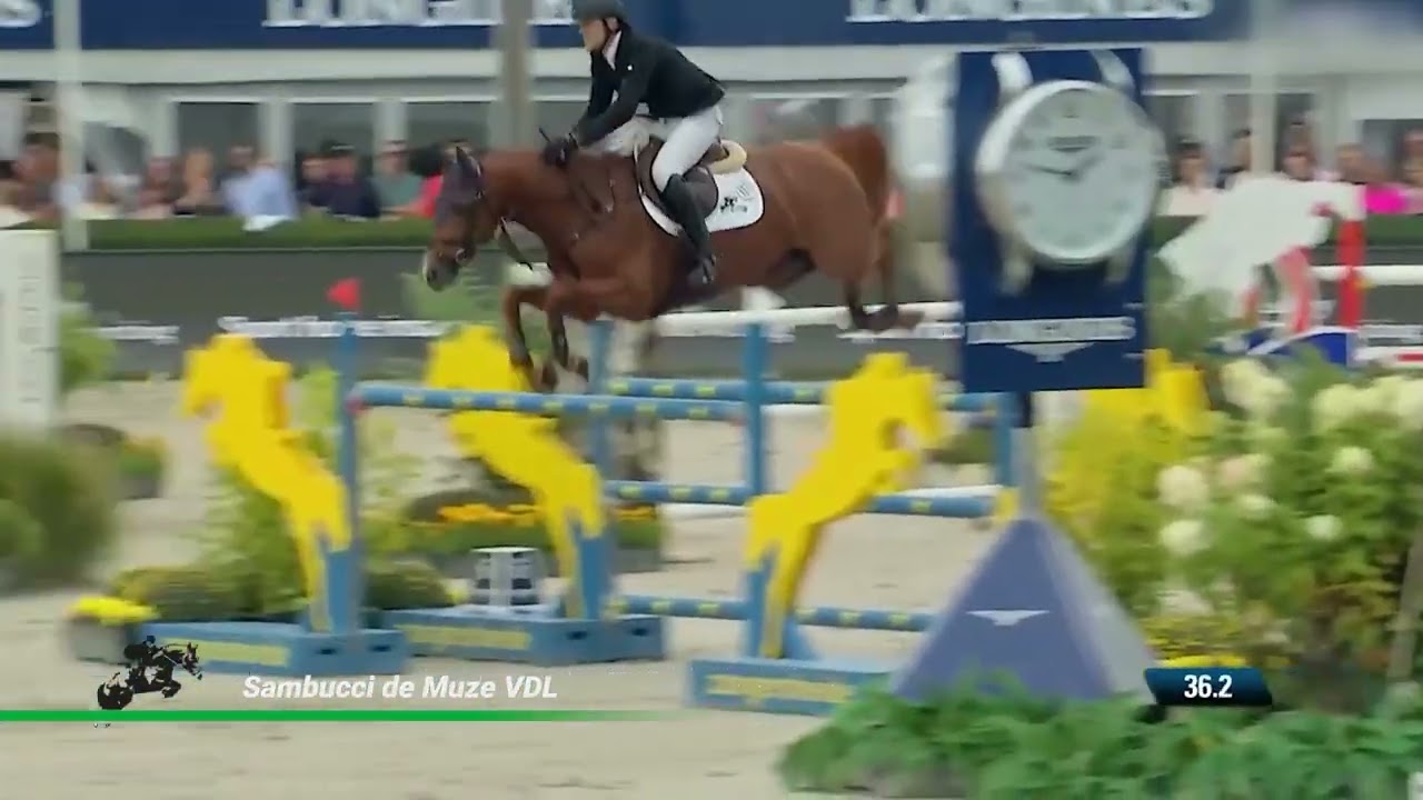 Sambucci de Muze VDL (Hunter's Scendro x Vigo d' Arsouilles)