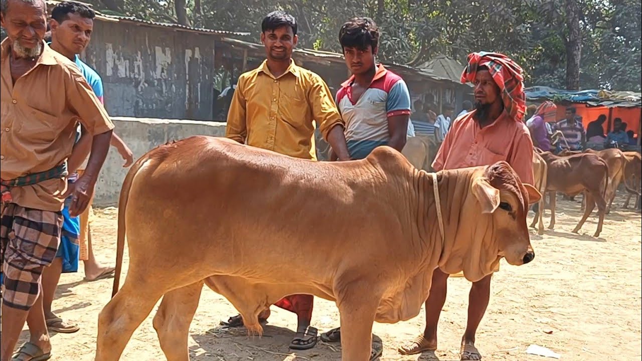 @আজ ১৬ ফেব্রুয়ারী