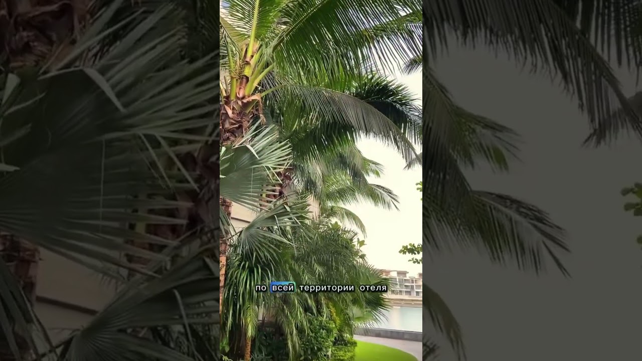 Обзор на отель Holiday Inn на острове Хайнань . 2 часть уже в инстаграме Ray__beautiful переходите