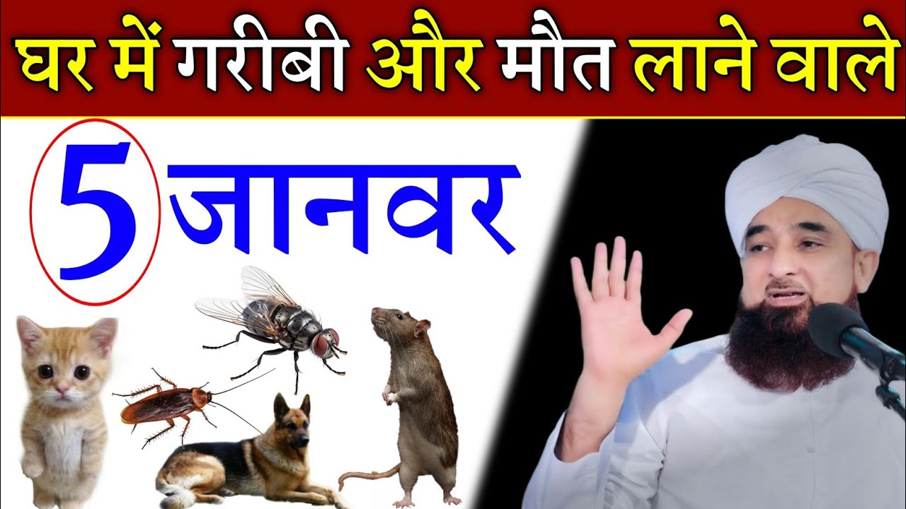 यह 5 जानवर घर में गरीबी और बीमारी लाते हैं? 5 Janwar Garibi Aur Bimari Late Hai? Noore hadees