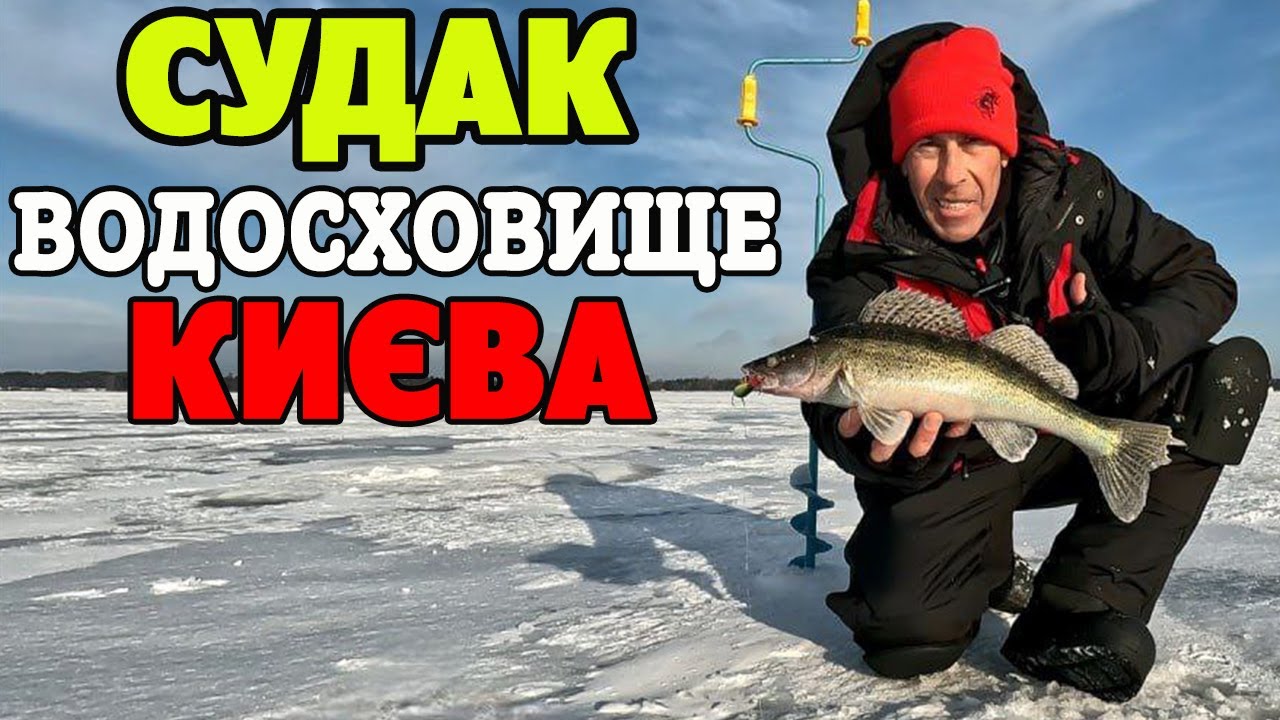 💛 СУДАК НА КИЇВСЬКОМУ ВОДОСХОВИЩІ 2026 💛