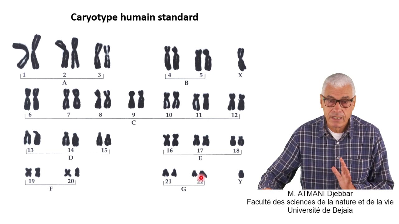 Cours N° 8: Aberrations chromosomiques: - Généralités