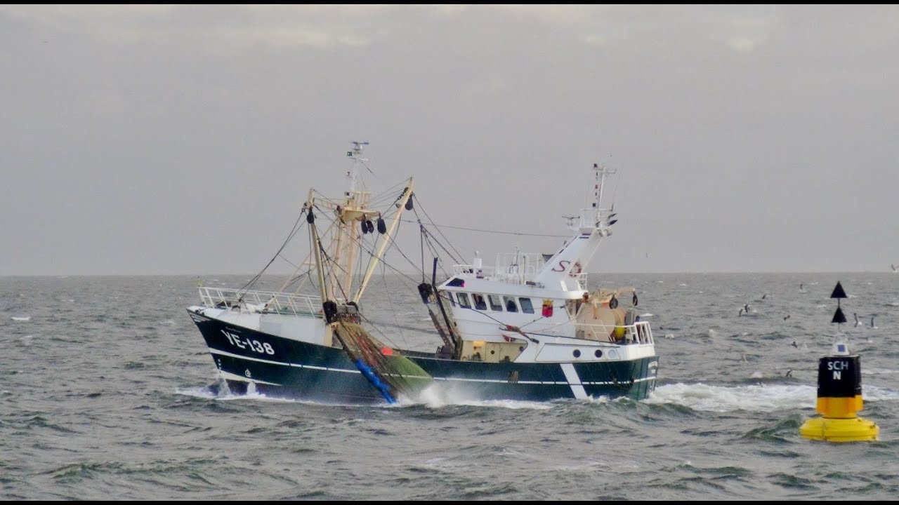 YE 138 maatje helena naar de visgronden 29-6-2016