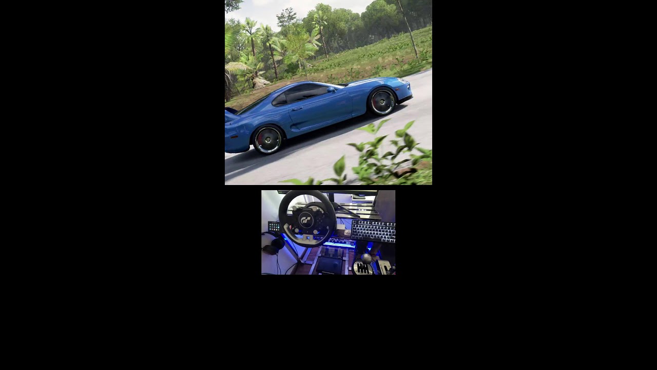 Forza Horizon 5 Live steering wheel