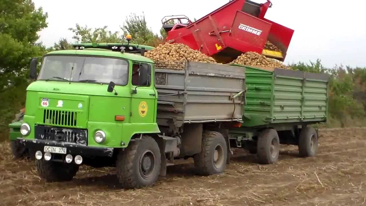 IFA L 60 in der Kartoffelernte 2013 in Großalsleben