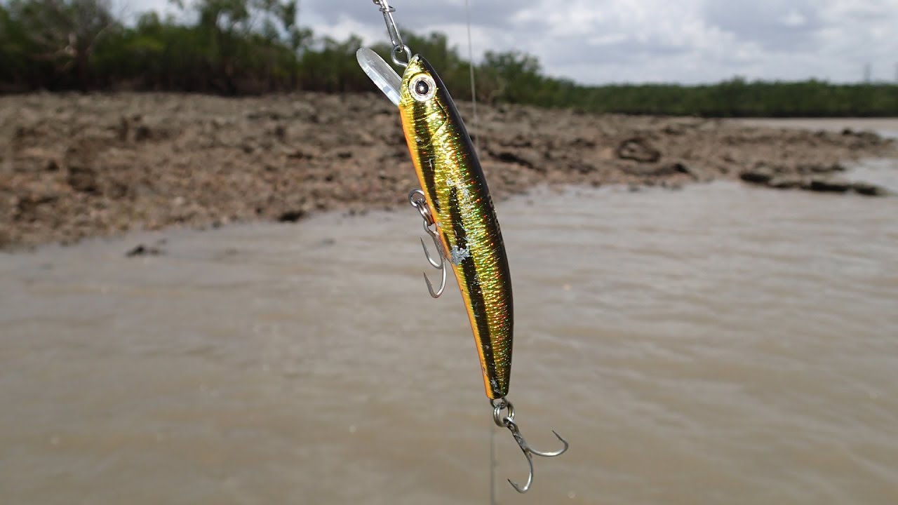 [Vol. 81] I fought a hooked fish for five minutes but...