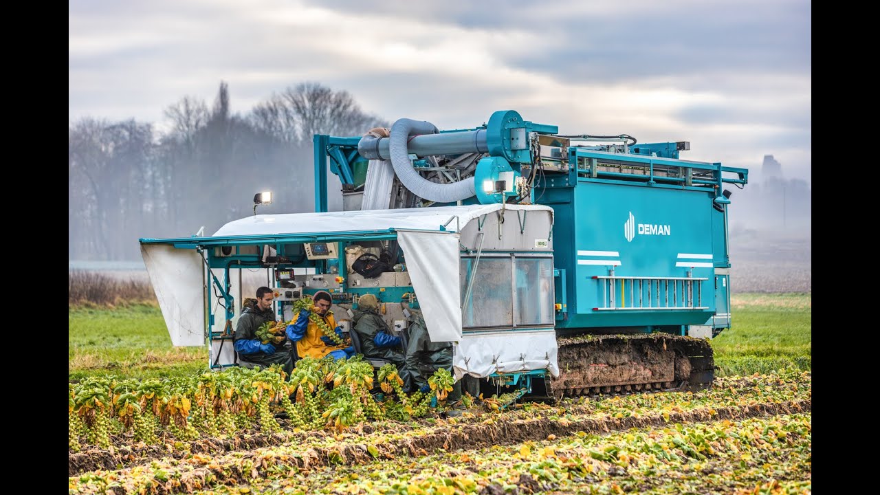 DEMAN SPROUT HARVESTER ZP4