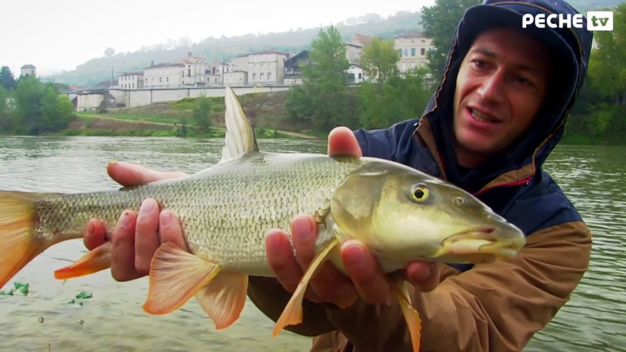Globe Fishing 47 (Saison 2) 1/6 - Pêche au feeder sur la Garonne (Pêche TV) - Version sous-titrée