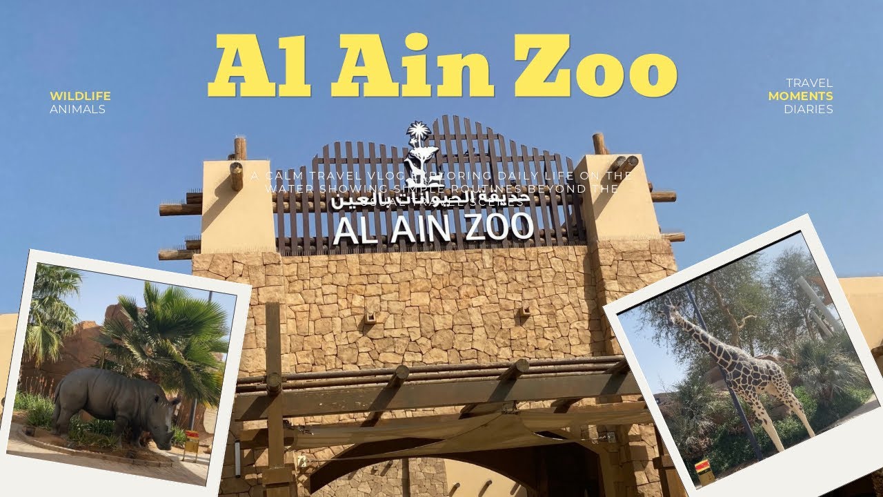 Abudhabi to Al Ain🚙Al Ain Zoo 🐘🦁#abudhabi #youtuber #vlogger 