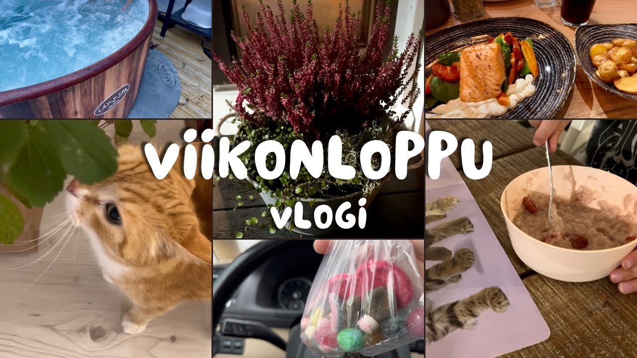 Rusta löytöjä, syysistutuksia pihalle & perus vkl puuhia ❤️