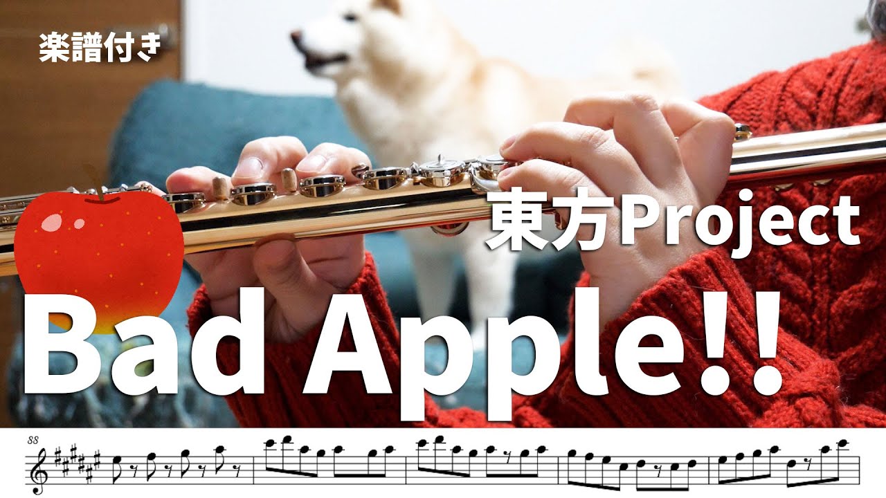 ☆楽譜付き【#フルート】Bad Apple!!　東方Project【演奏してみた】#flute