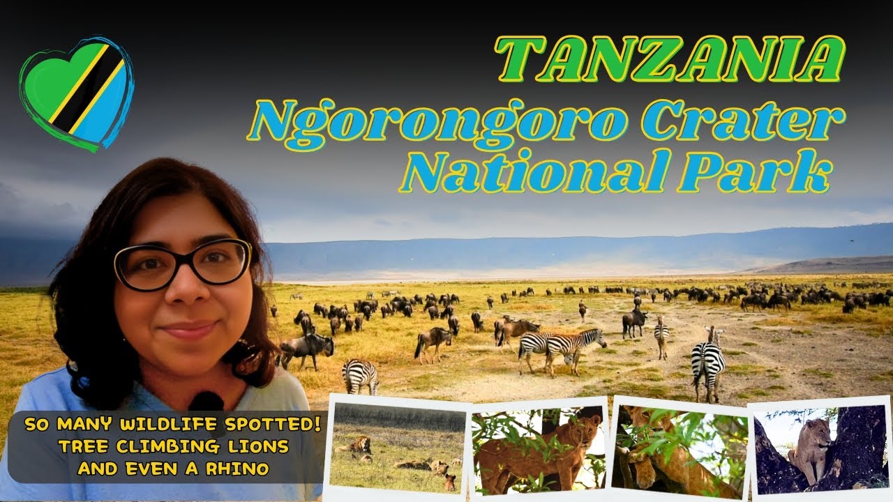 🇹🇿 Ngorongoro Crater National Park 🦏 | Spotted tree-climbing lions & rhino | Tanzania (East Africa)