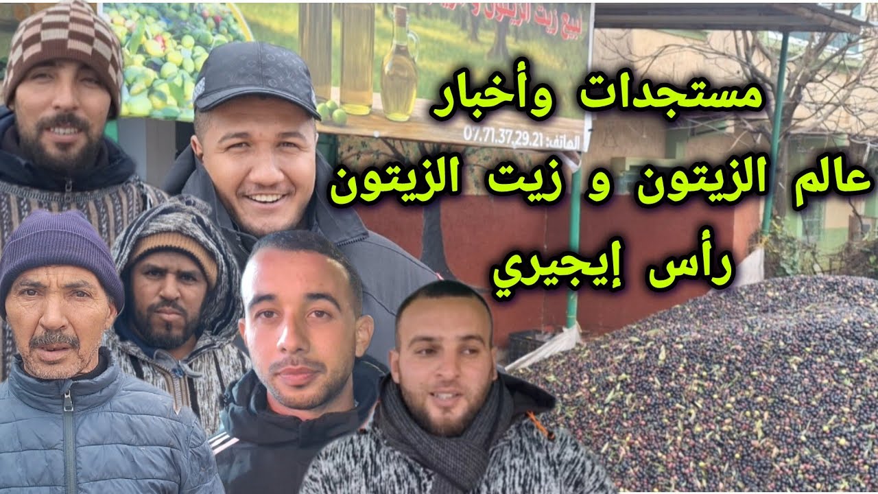 مستجدات وأخبار عالم الزيتون و زيت الزيتون برأس إيجيري 