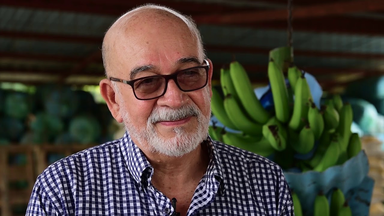 How to prepare bananas for the world - an Ecuadorian story