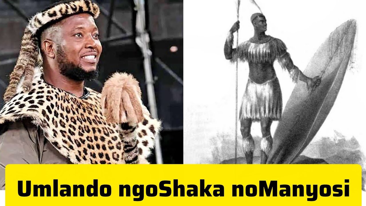 uTshatha uveza umlando obakulekile ngeSilo uShaka kaSenzangakhona| History of King Shaka & Manyosi