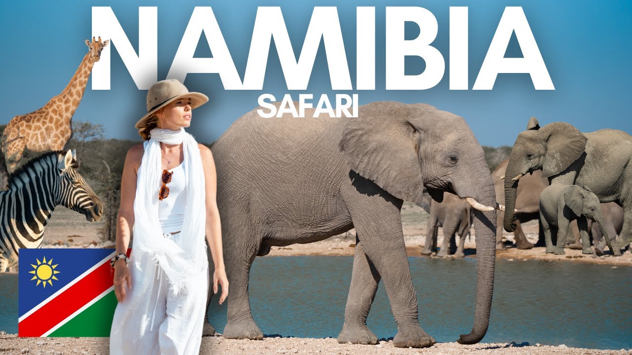 We didn't expect this for a NAMIBIAN SAFARI!😱