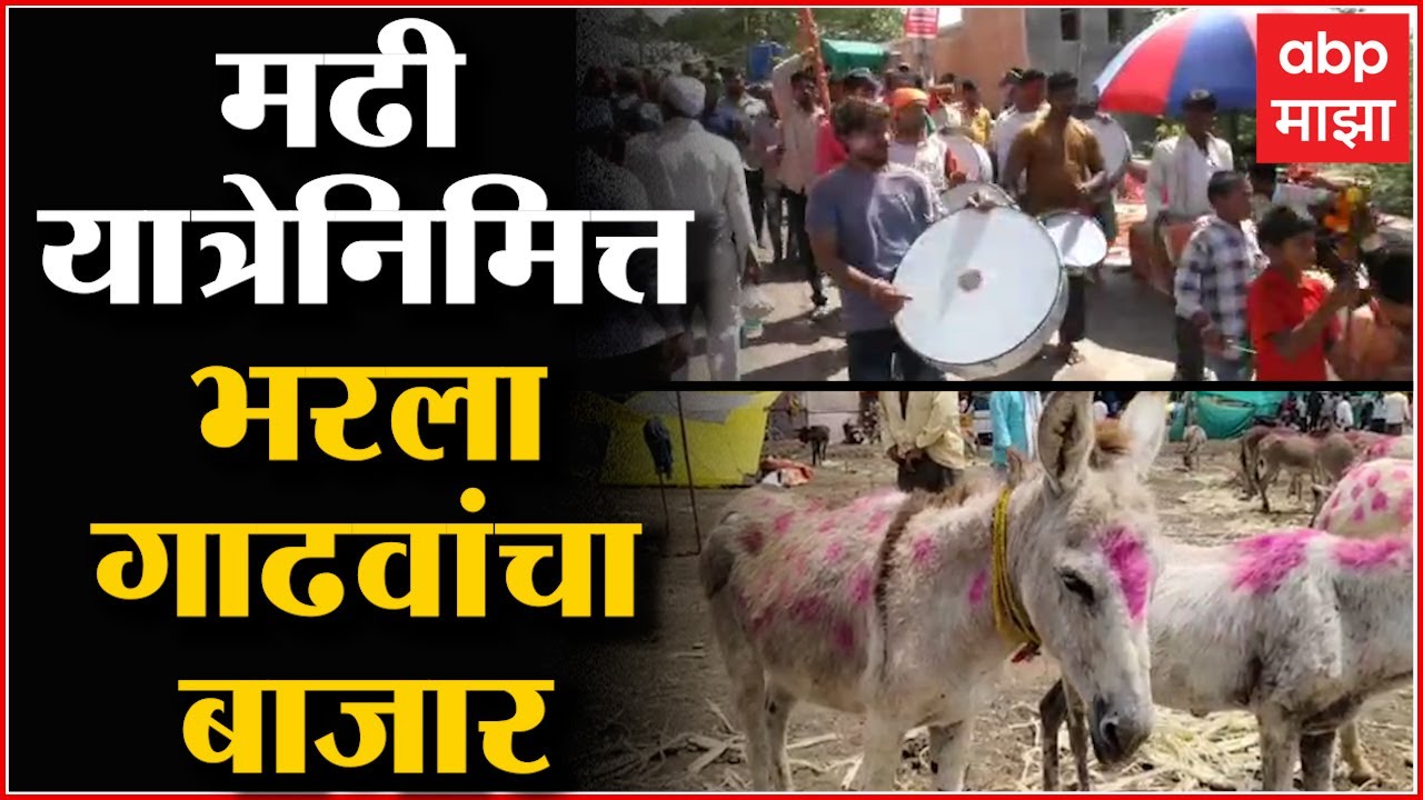 Madhi Yatra Ahmednagar : पाथर्डीत मढी यात्रेचा उत्साह, गाढवांचा बाजार प्रमुख आकर्षण