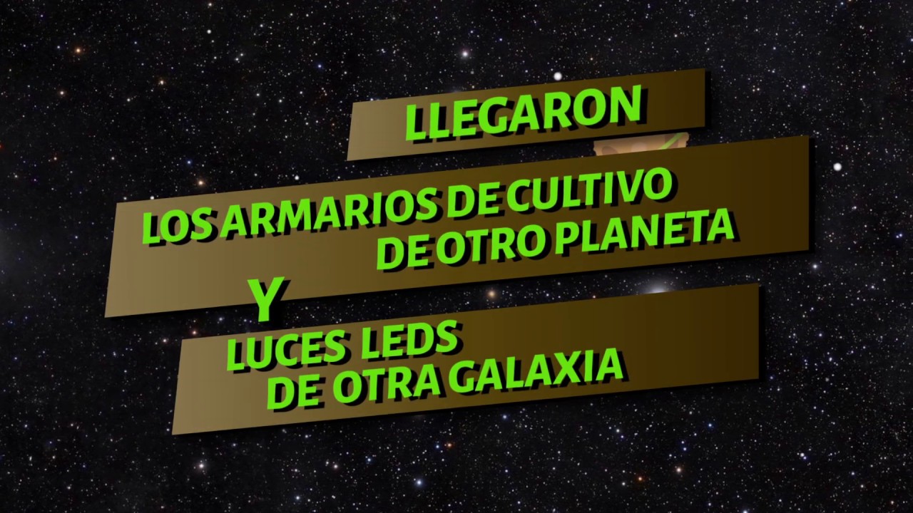 &iexcl;Nuestros equipos llegaron a Marley's Planet!