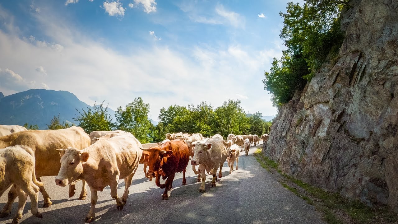 Driving the Grand Naves, France