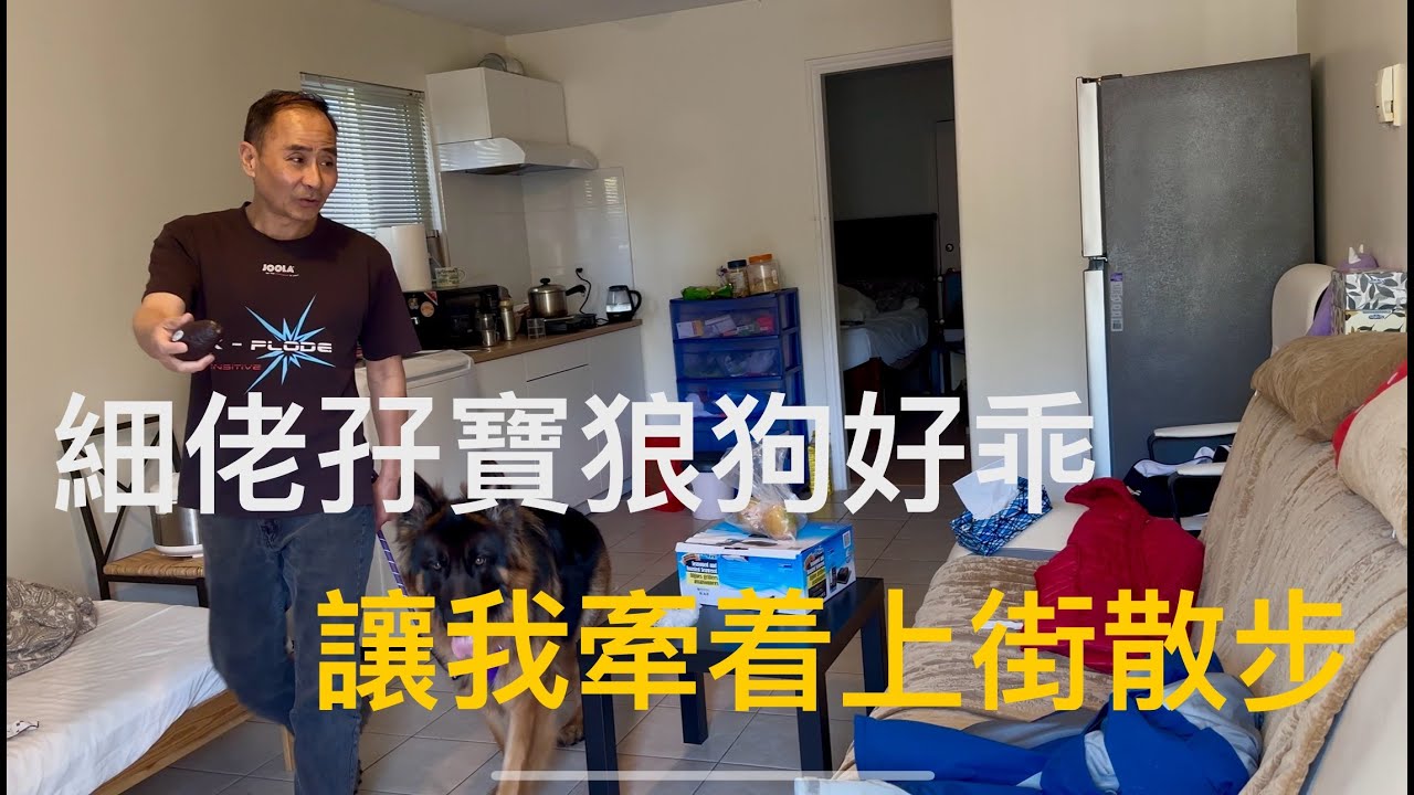 感受到加拿大溫哥華居民區的魅力，一座座木屋象花園一樣。環境宜人寧靜舒適、各種奇花異樹茂盛生長。