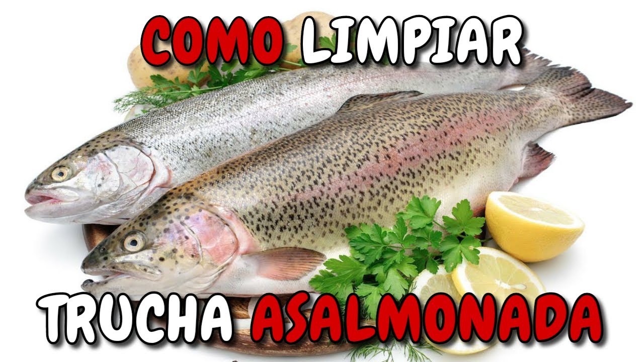 Cómo LIMPIAR una TRUCHA asalmonada para HORNO PASO a PASO