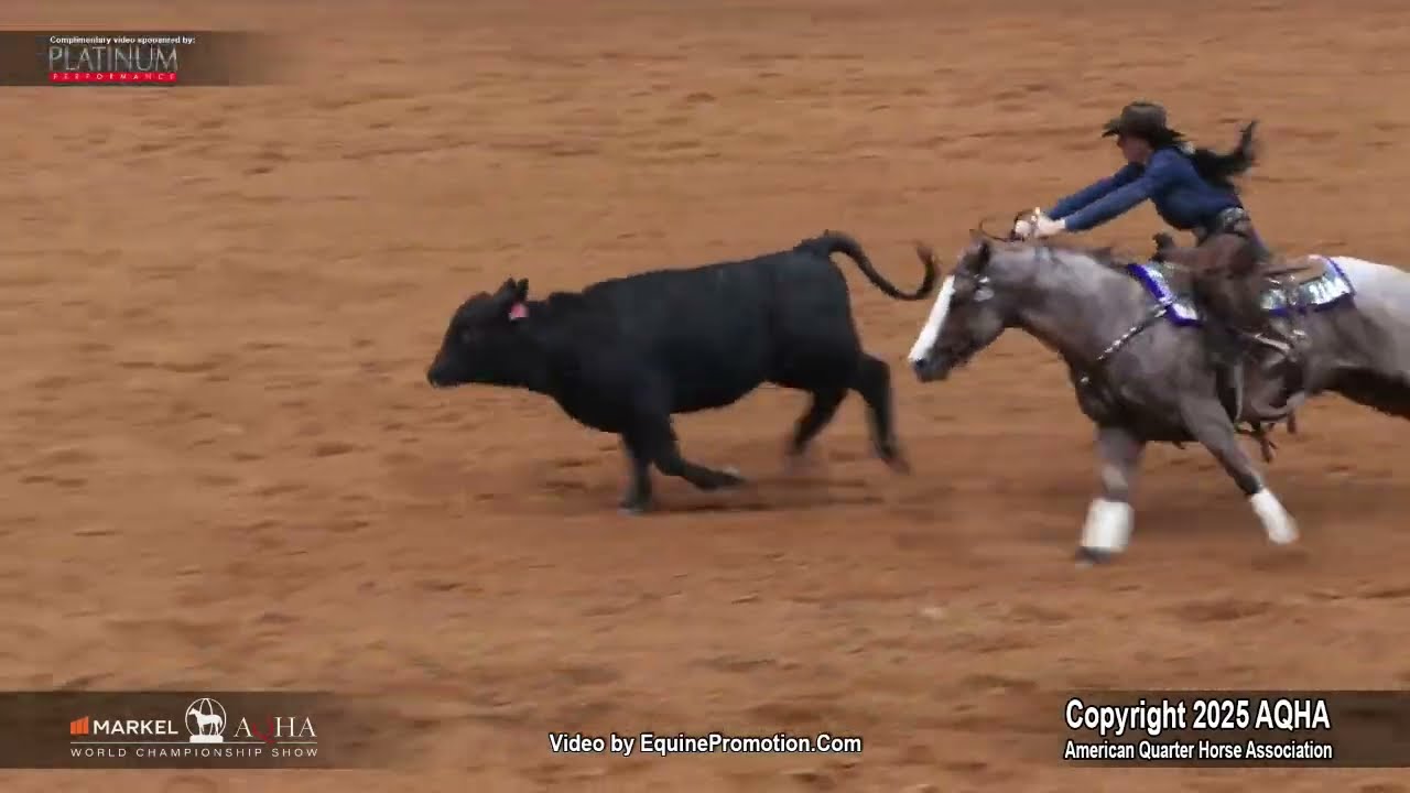 2025 Amateur Working Cow Horse World Champion