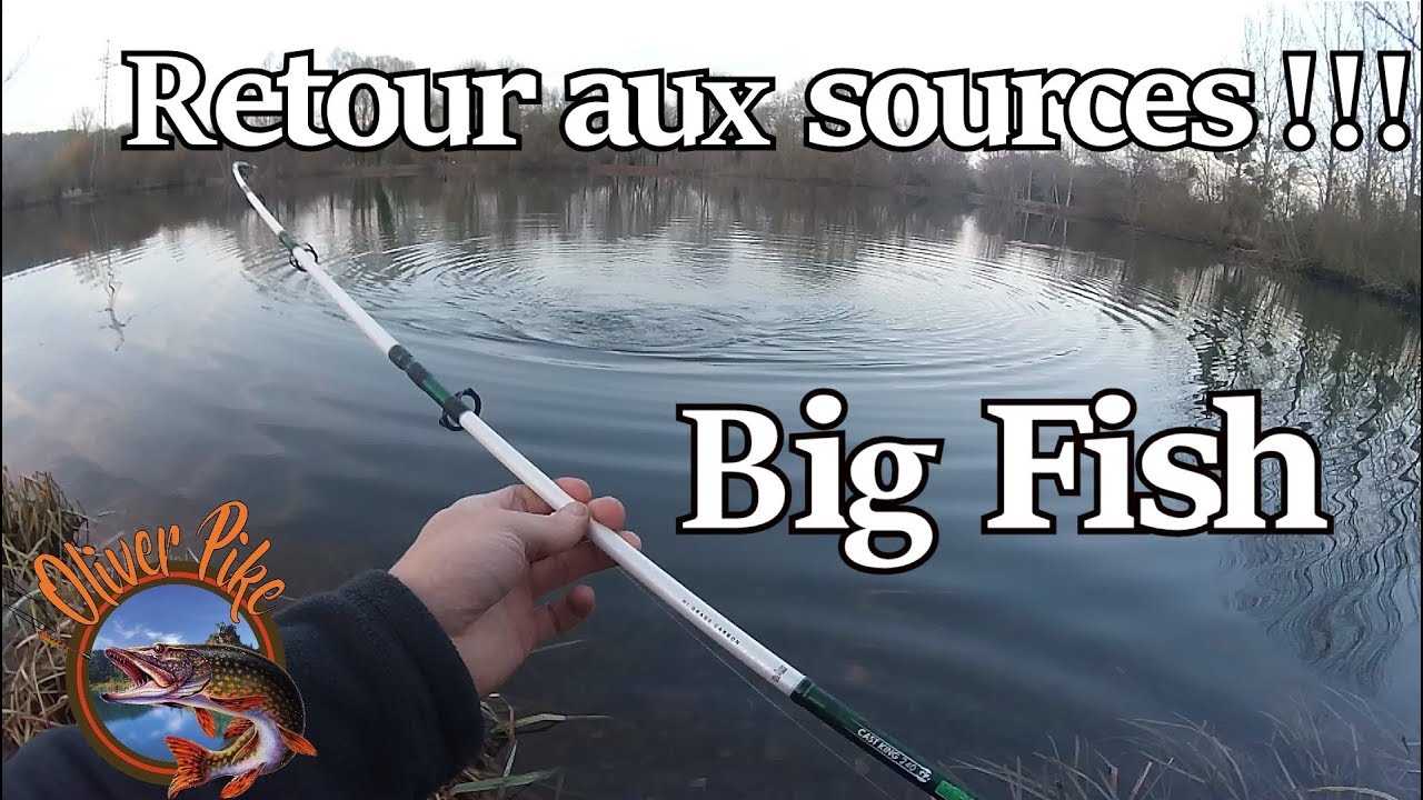 Encore une belle surprise au Divinator !!!