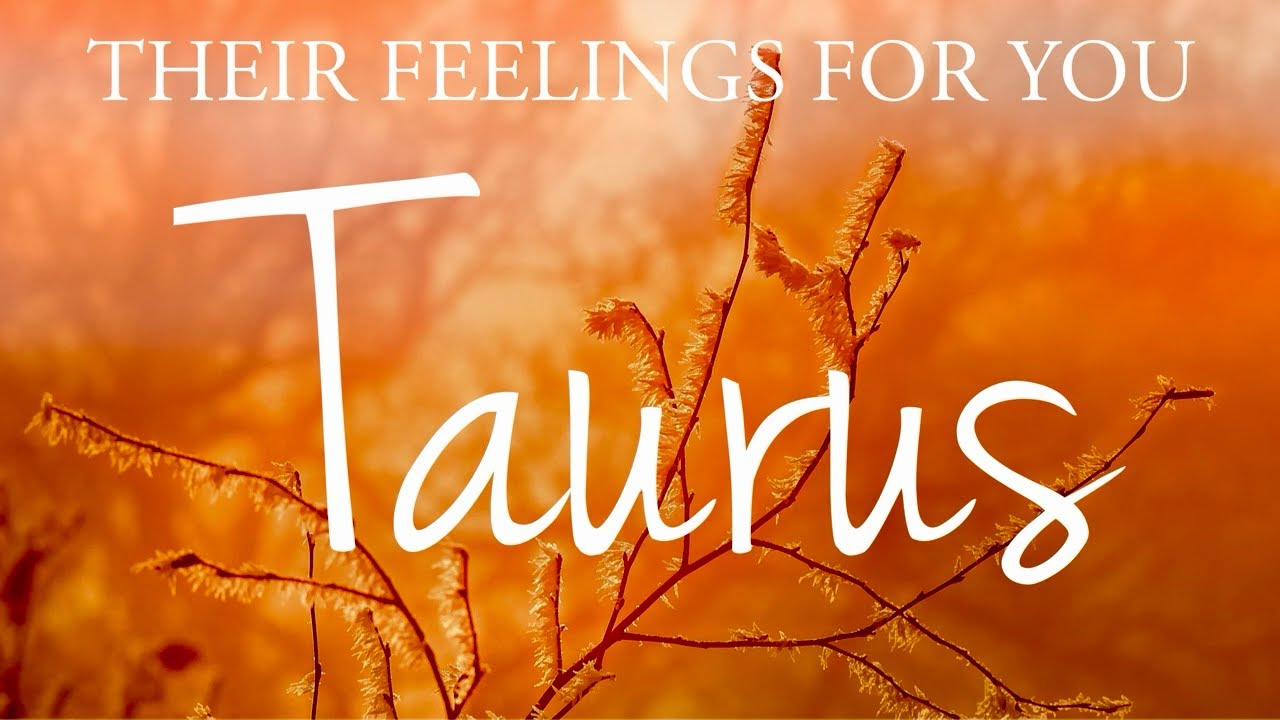 TAURUS love tarot ♉️ Someone Who Will Try To Clear The Air With You Taurus 😇 They Will Surprise You