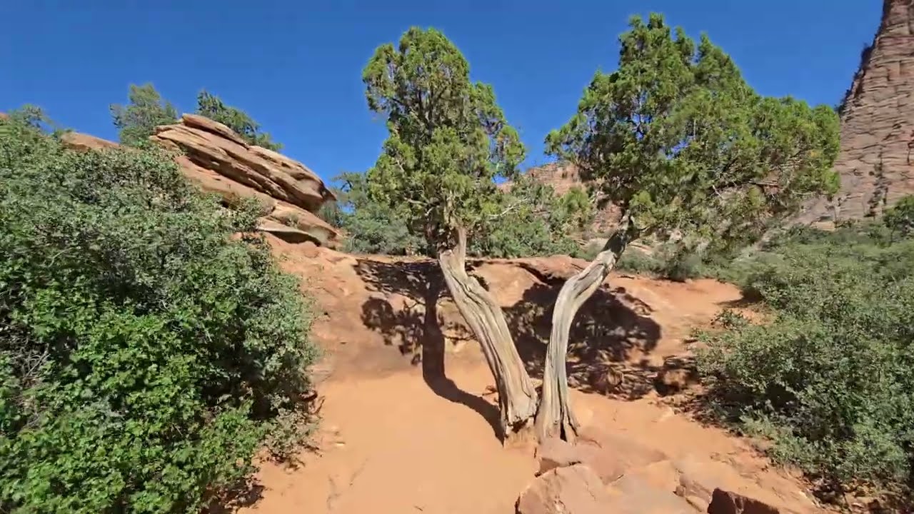 Zion National Park - Canyon Overlook Trail