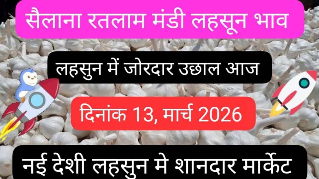 13 मार्च 2026 आज का लहसुन का भाव सैलाना रतलाम मंडी aaj ka lahsun ka bhav, Ratlam Mandi, lahsun bhav