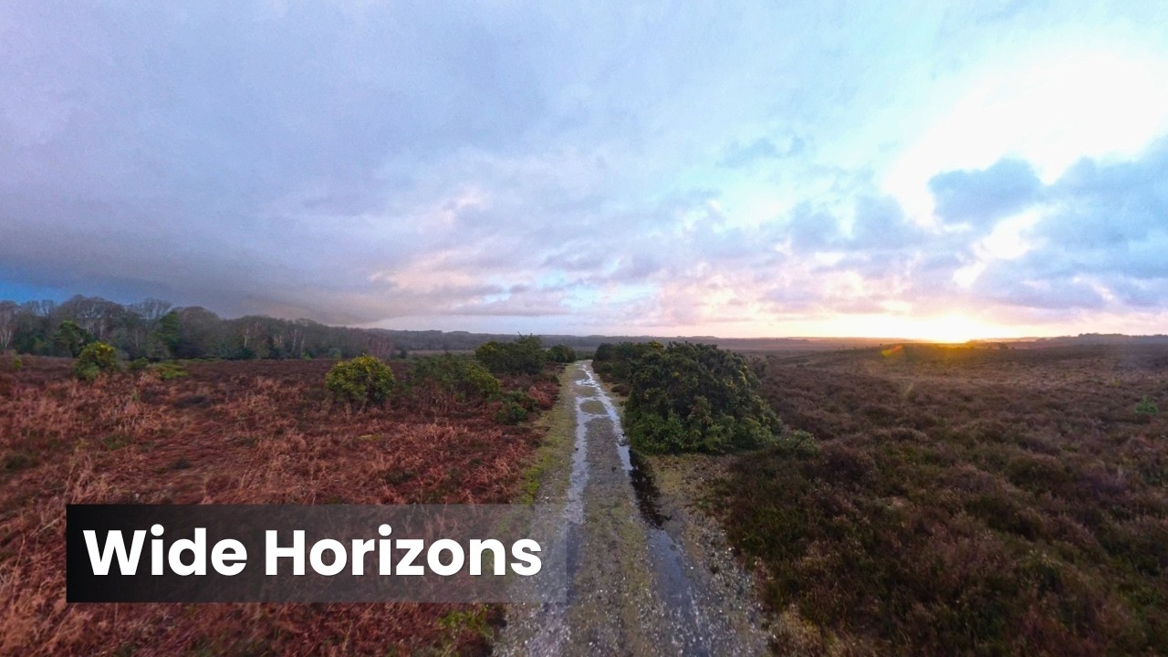New Forest Walk 360° - Yew Tree Heath - Winter Sunrise