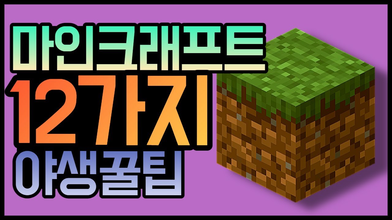 알아두면 유용하게 써먹는 야생꿀팁 12가지