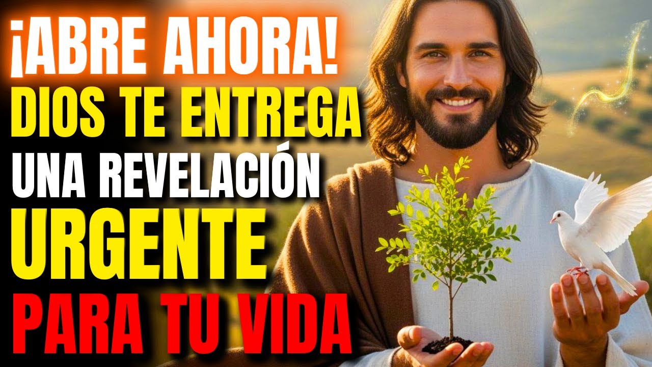 ¡DETENTE YA! DIOS TE ESTÁ REVELANDO LO QUE NADIE TE QUISO DECIR