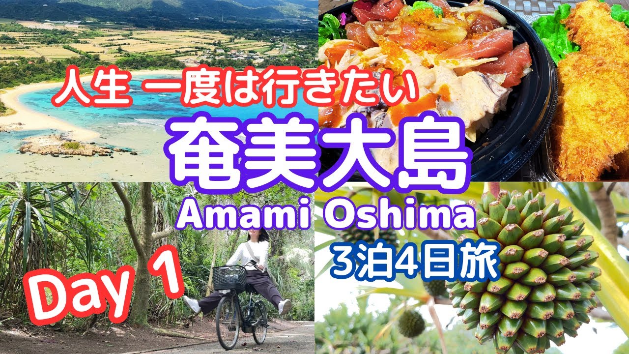 【奄美大島3泊4日#1】人生一度は行きたい!!車なし電動チャリでサイクリングロードを南国の風を切って進む～/amami oshima