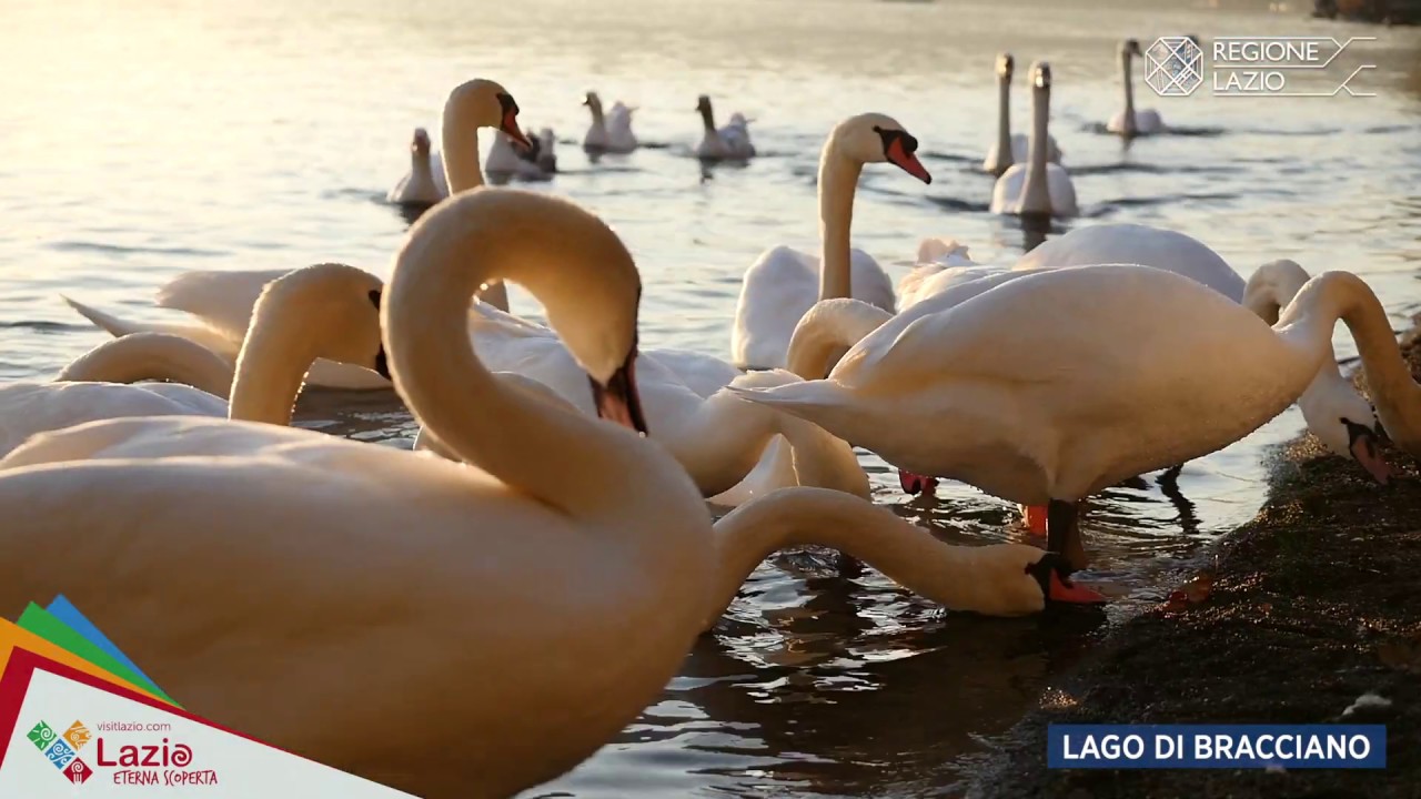 LAZIO DELLE MERAVIGLIE - LAGHI FIUMI