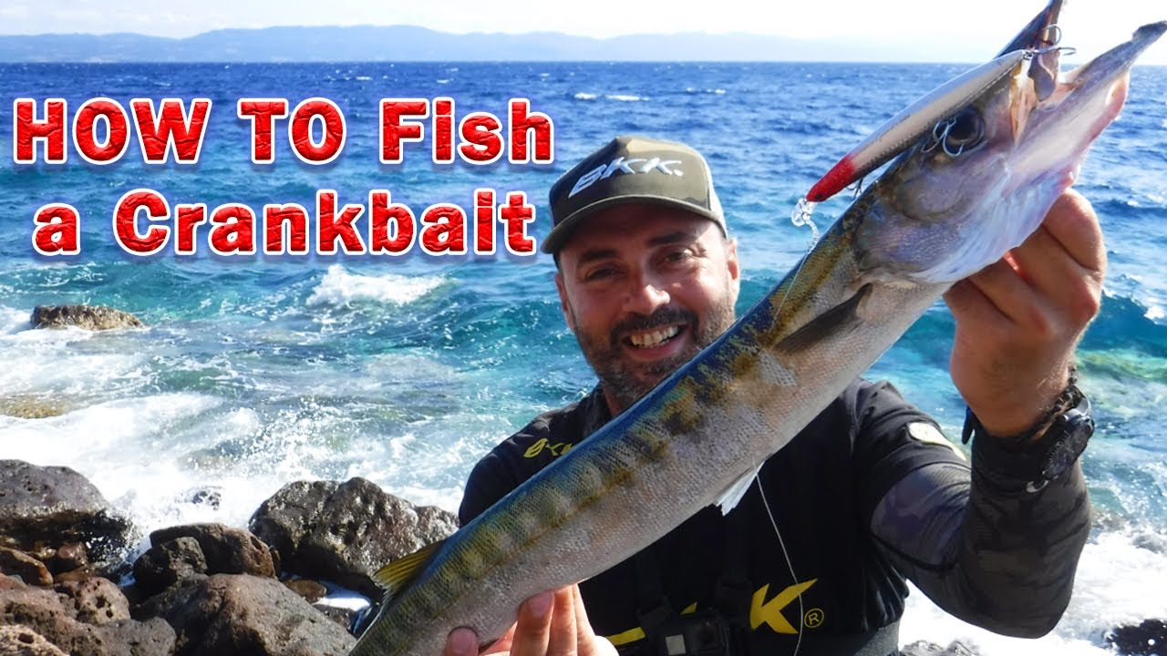 Πως να πιάσετε εύκολα λούτσους με ένα τεχνητό δόλωμα     English Subtitles