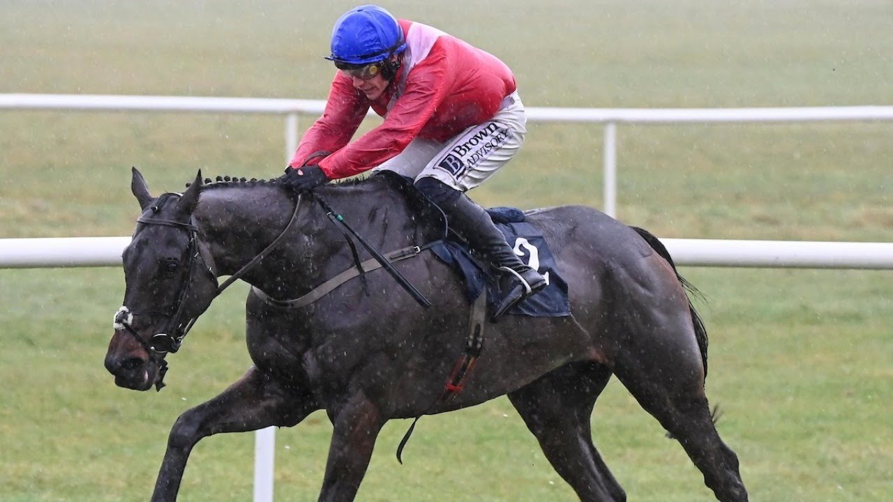 ALLAHO stamps class to land third Horse & Jockey Hotel Chase at Thurles