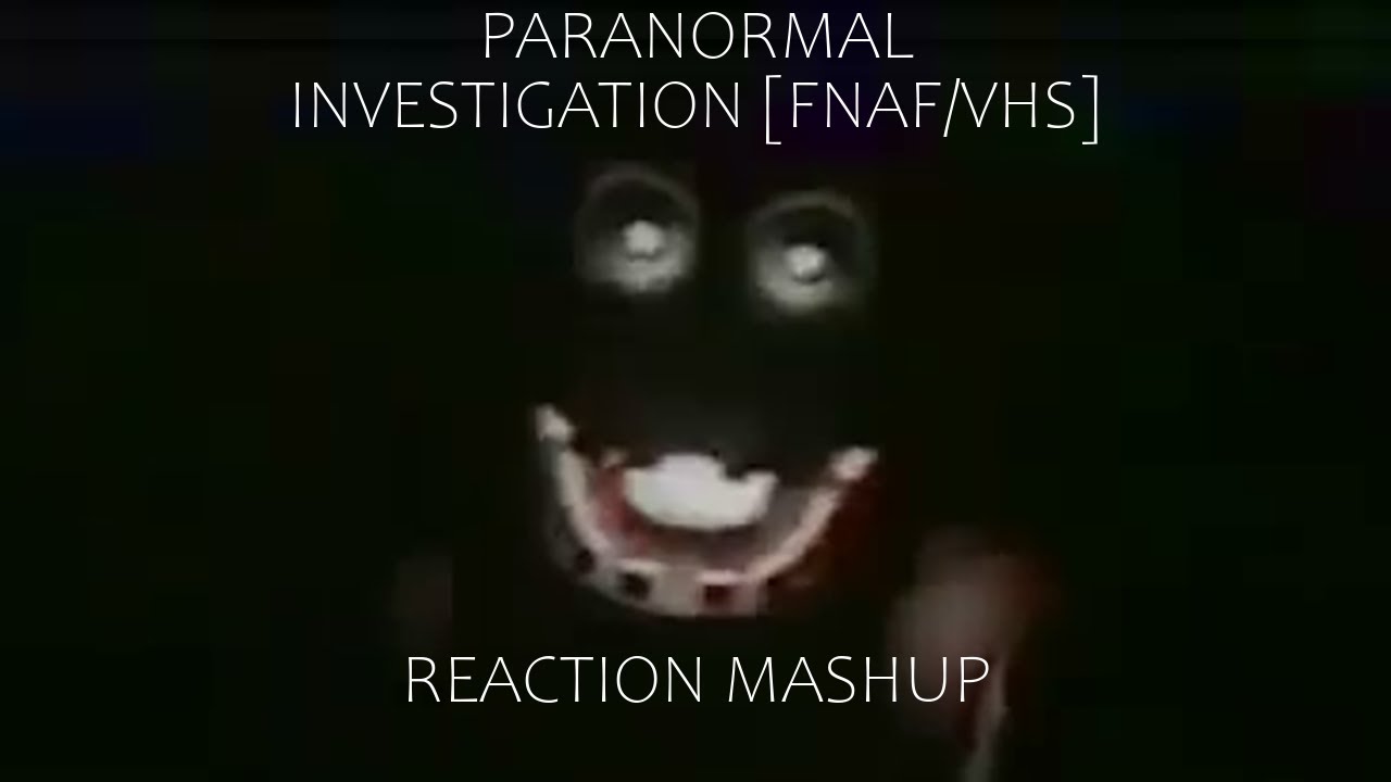 Reaction Mashup: 'Paranormal Investigation [FNAF/VHS]' by @SpectreAnimations