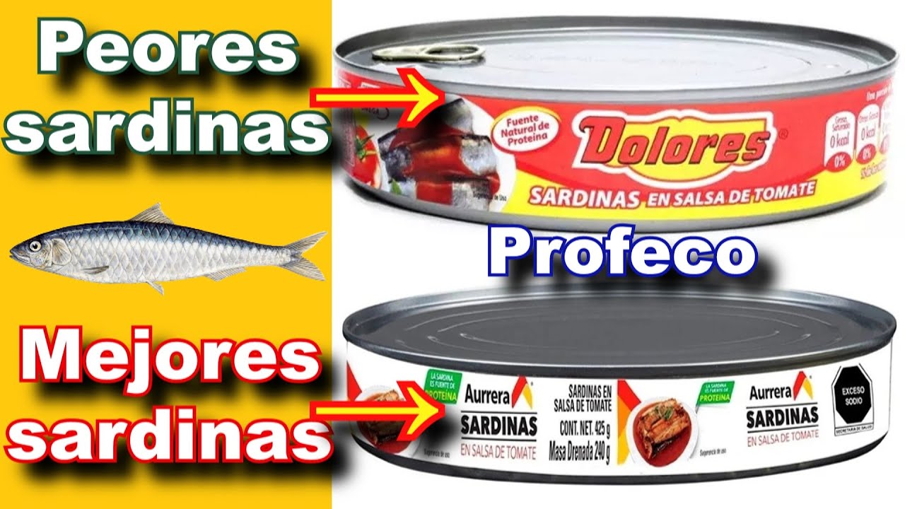 ¿Cuáles son las peores y mejores SARDINAS según Profeco? Estudio de Calidad || Profeco