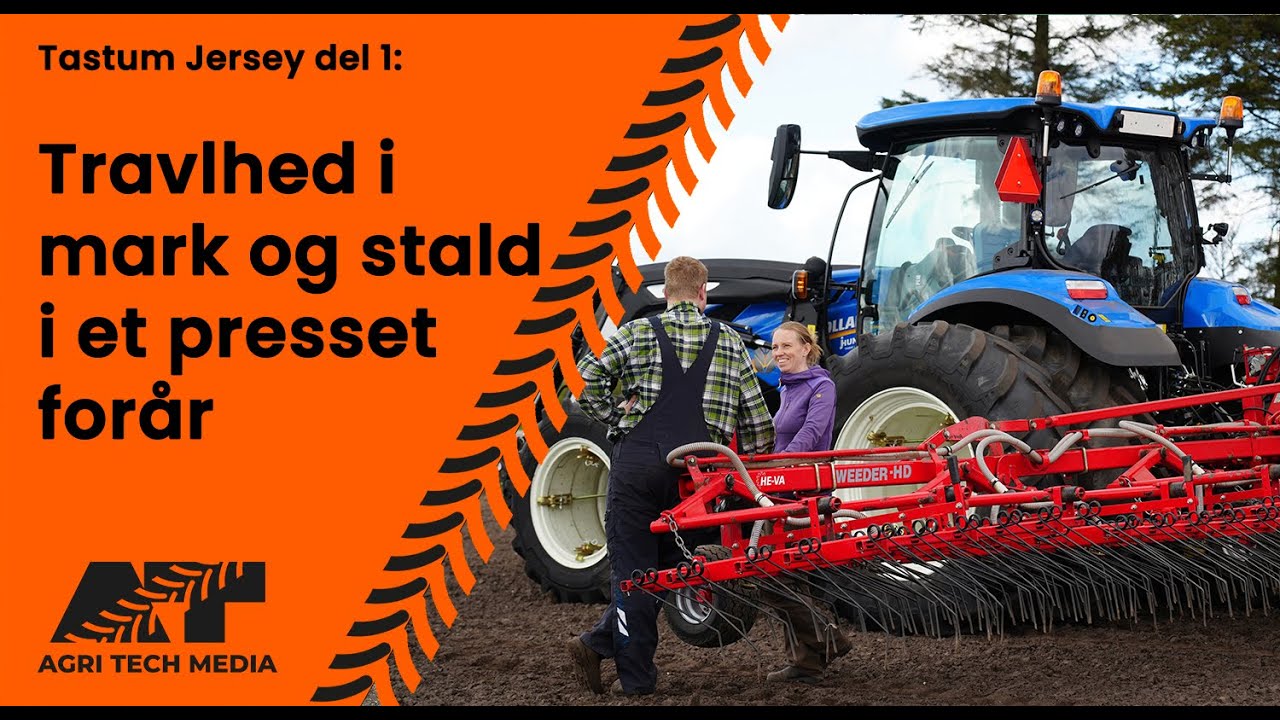 🇩🇰 Tastum Jersey del 1: Travlt i mark og stald i presset forår