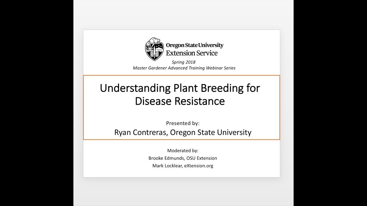 Understanding Plant Breeding for Disease Resistance