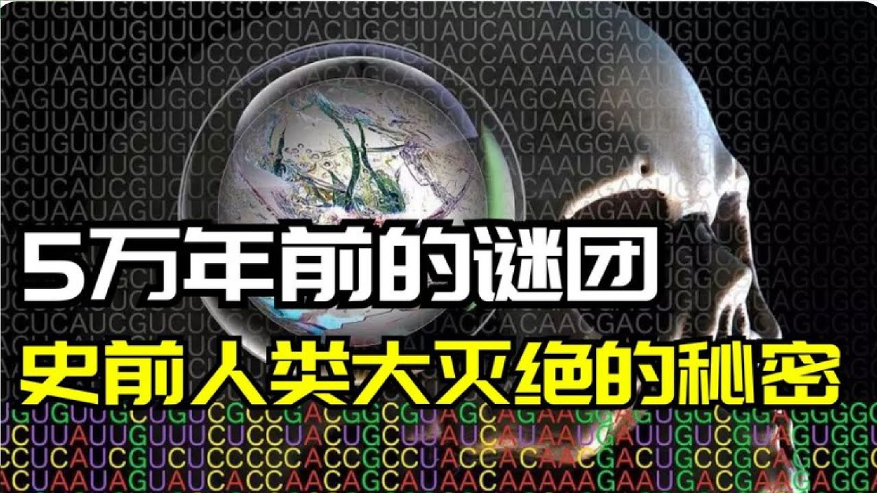 史前人類滅絕之謎 石器時代的巨大謎團 人類基因裡隱藏的進化密碼