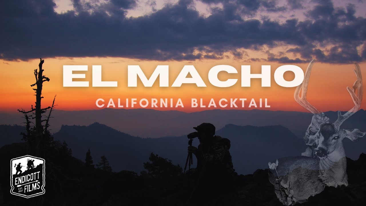 El Macho | California Blacktail | OTC Archery