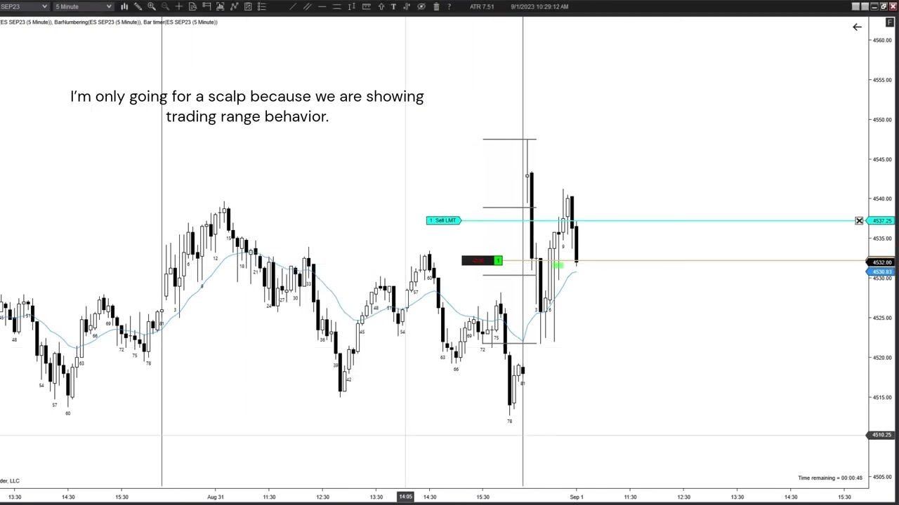 Live Trade Example - Buying Pullback to Small Micro Channel Up